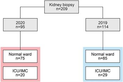 Impact of the COVID-19 Pandemic on Kidney Diseases Requiring Renal Biopsy: A Single Center Observational Study